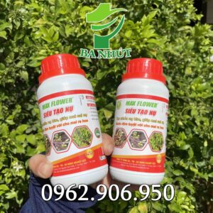 phân bón siêu tạo nụ mai vàng