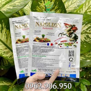 thuốc trừ bệnh napoleon 72WP