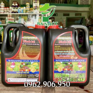 Phân Bón Vi Lượng Đầu Bò HUMATE KALI Can 5Lit – Ra Rễ Cực Mạnh, Đâm Chồi, Đẻ Nhánh, Tăng Đậu Trái, Giúp Trái Chín Đồng Loạt, Chống Chịu Khô Hạn.