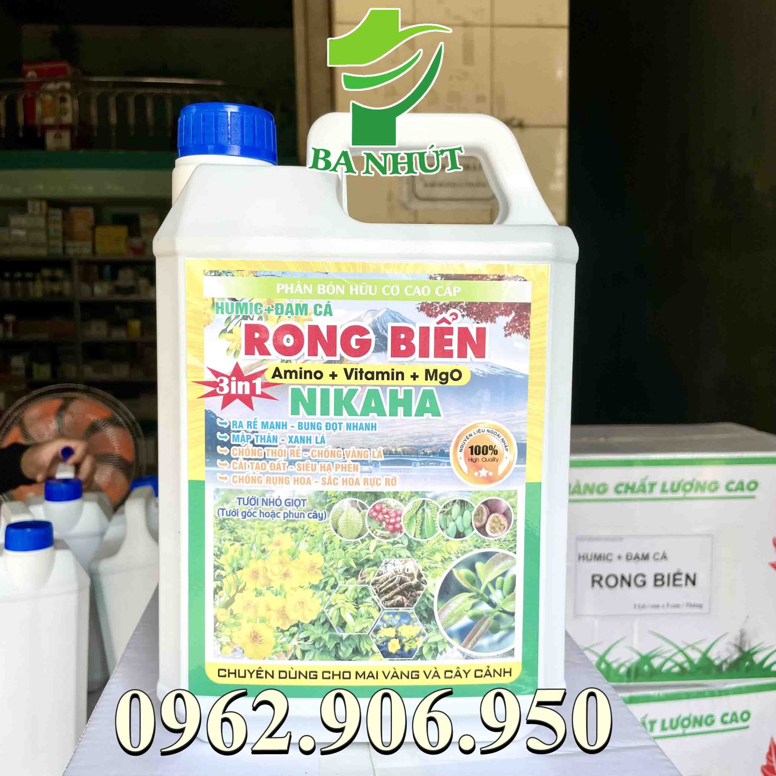 HUMIC Rich Đạm Cá Rong Biển Chai 5Lit - Kích Rễ, Bung Đọt, Mát Cây, Khoẻ Rễ, Đâm Cơi Mạnh, Đi Tược Nhanh, Mập Đọt - Ảnh 4
