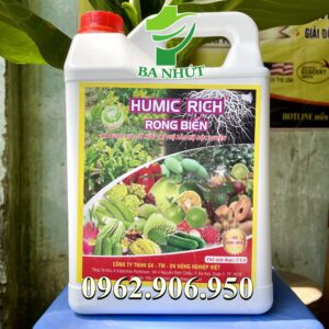 Phân bón Humic rich rong biển xanh lá, mát cây, kích rễ, bung đọt cực mạnh