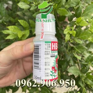 HB 101 6ml Nhật Bản Siêu Kích Rễ, Phục Hồi Cây Suy Yếu, Tăng Cường Ra Rễ Và Thúc Đẩy Hồi Phục Cây Suy Yếu