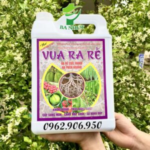 Phân Bón Vi Lượng VUA RA RỄ can 5Lit Siêu Ra Rễ Cực Mạnh, Bung Đọt Cực Mạnh, Cây Khỏe Xanh Lá