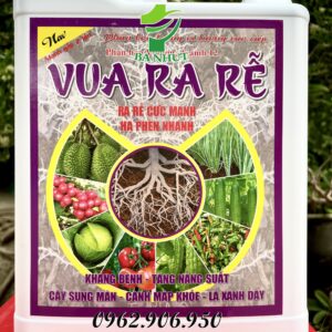 Phân Bón Vi Lượng VUA RA RỄ can 5Lit Siêu Ra Rễ Cực Mạnh, Bung Đọt Cực Mạnh, Cây Khỏe Xanh Lá