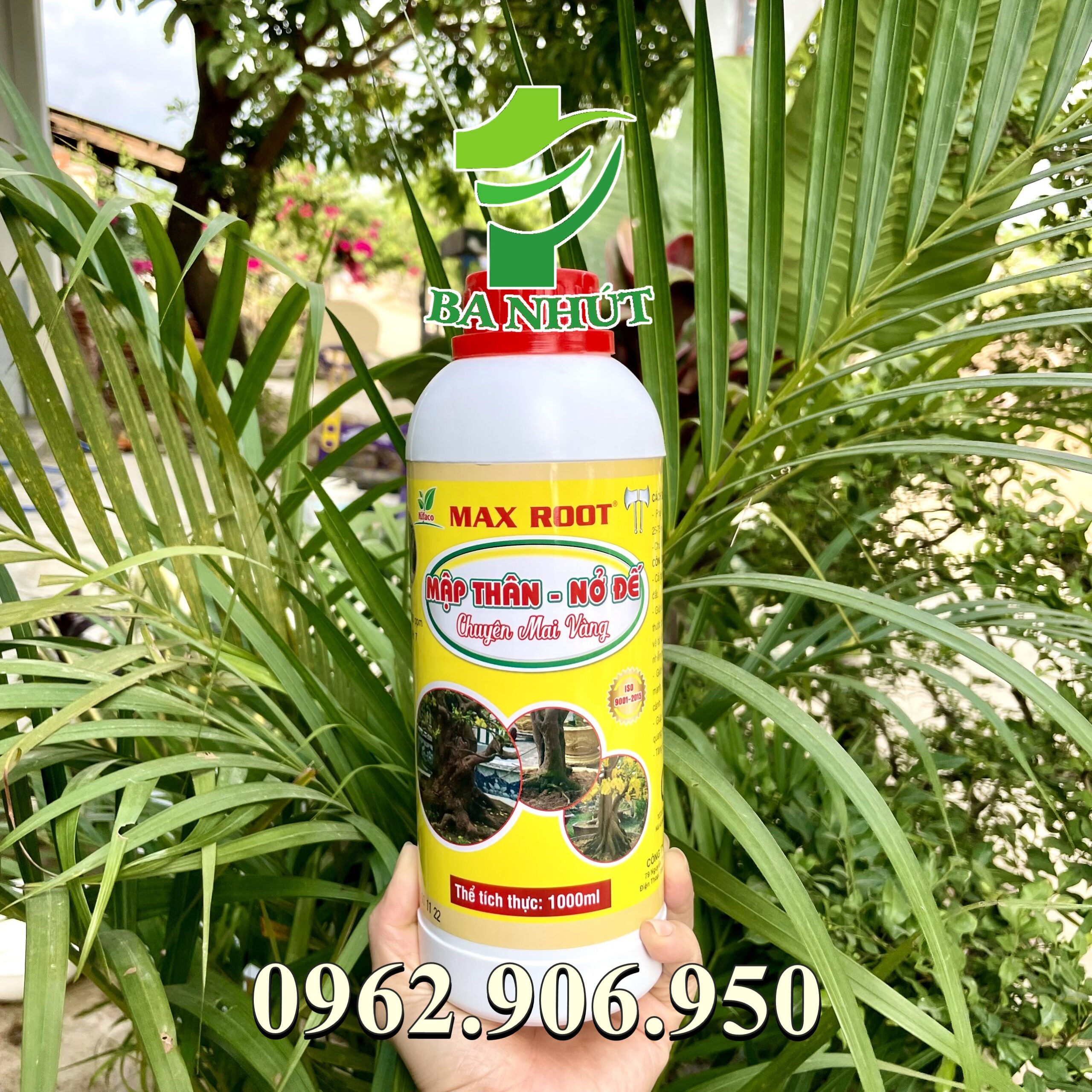 Phân Bón Mập Thân Nở Đế Chuyên Dùng Cho Mai Vang Max Root Chai 1 Lít - Ảnh 2