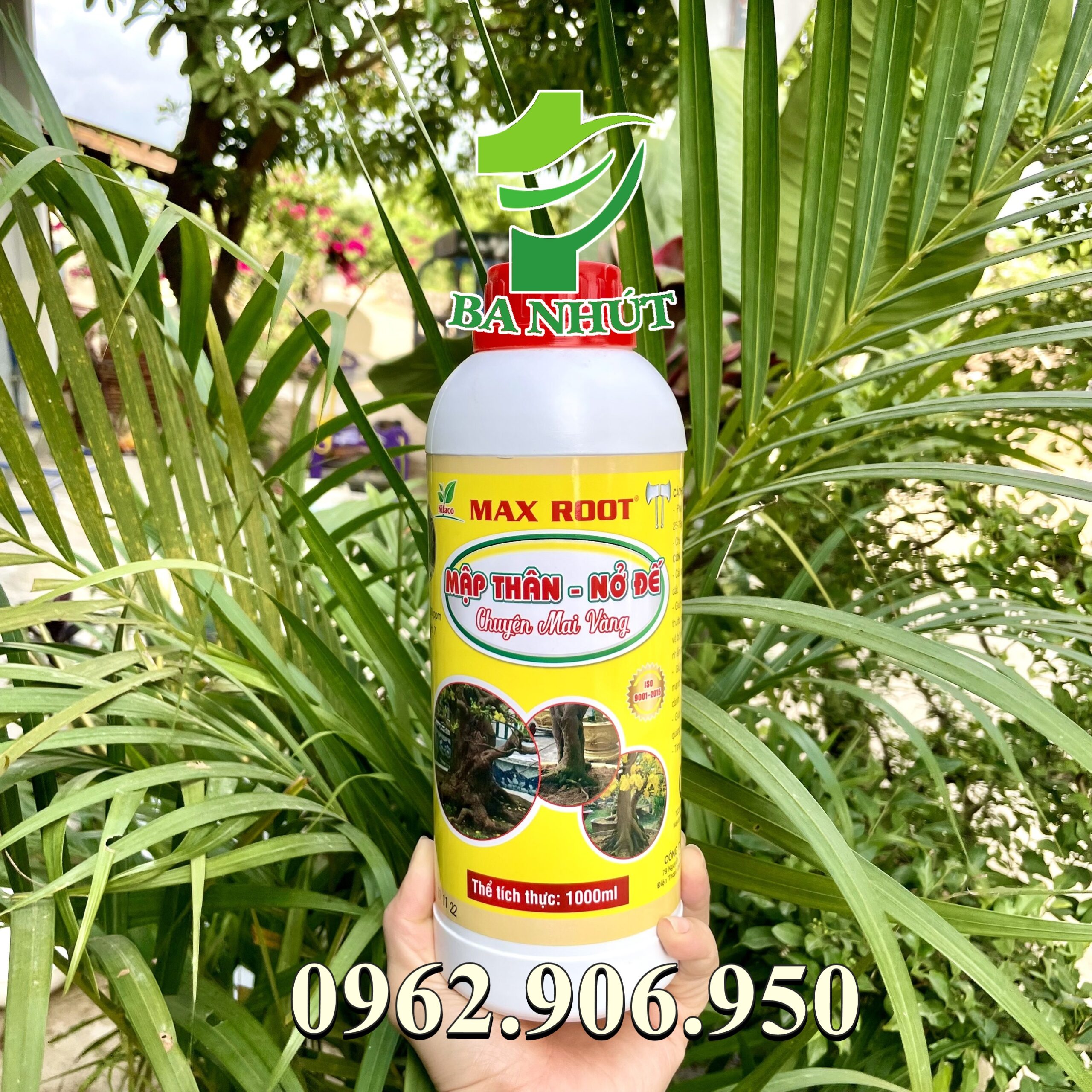 Phân bón MAX ROOT – MẬP THÂN NỞ ĐẾ CHUYÊN MAI VÀNG Giúp bộ rễ phát triển mạnh, gia tăng kích thước bộ rễ, nở đế cho mai. Đặc biệt là bảo vệ bộ rễ trong điều kiện đất bị nhiễm phèn, nhiễm mặn.