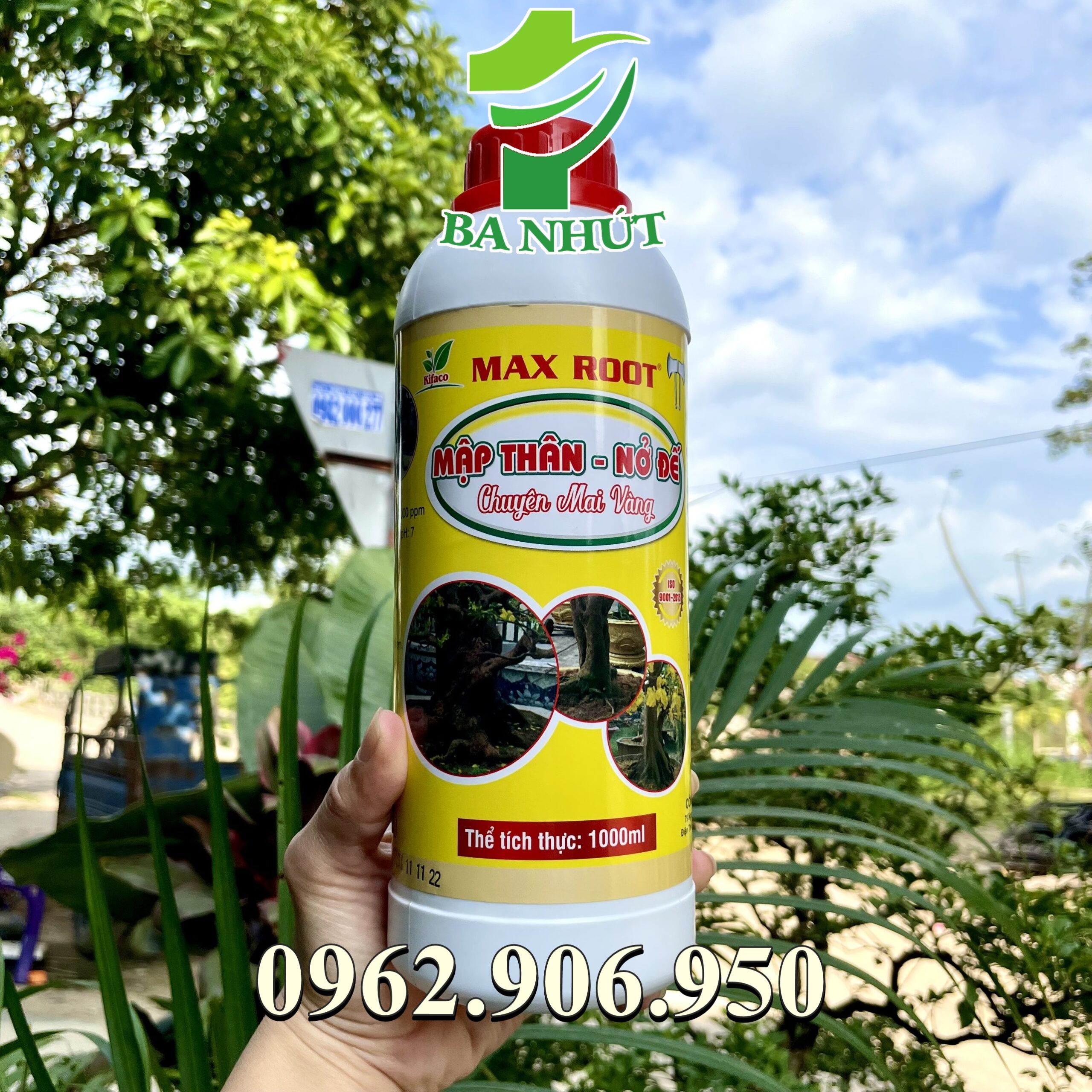 Phân bón MAX ROOT – MẬP THÂN NỞ ĐẾ CHUYÊN MAI VÀNG Giúp bộ rễ phát triển mạnh, gia tăng kích thước bộ rễ, nở đế cho mai. Đặc biệt là bảo vệ bộ rễ trong điều kiện đất bị nhiễm phèn, nhiễm mặn.