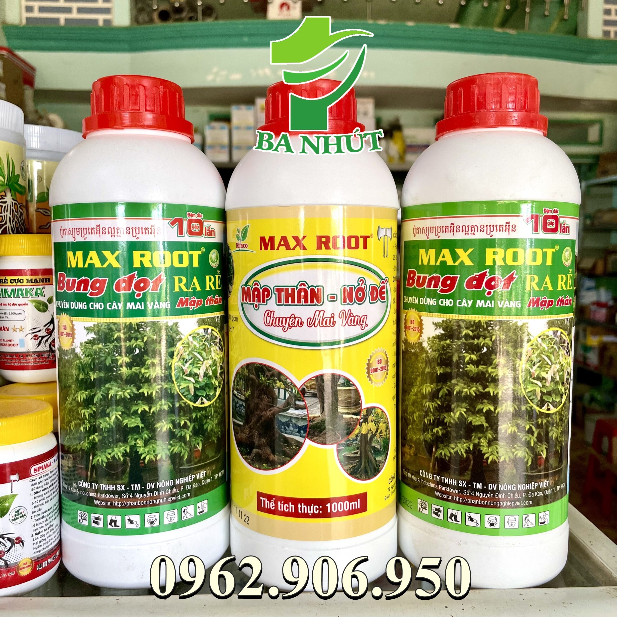 Phân bón MAX ROOT – MẬP THÂN NỞ ĐẾ CHUYÊN MAI VÀNG Giúp bộ rễ phát triển mạnh, gia tăng kích thước bộ rễ, nở đế cho mai. Đặc biệt là bảo vệ bộ rễ trong điều kiện đất bị nhiễm phèn, nhiễm mặn.